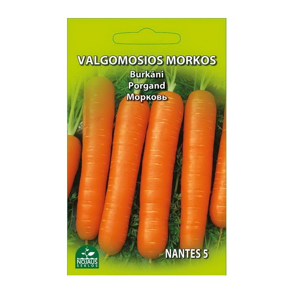 CARROTS NANTES 5