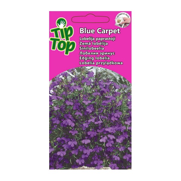 TIP TOP LOBELIJA PAPRASTOJI BLUE CARPET