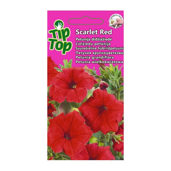 TIP TOP PETUNIJA DIDŽIAŽIEDĖ SCARLET RED