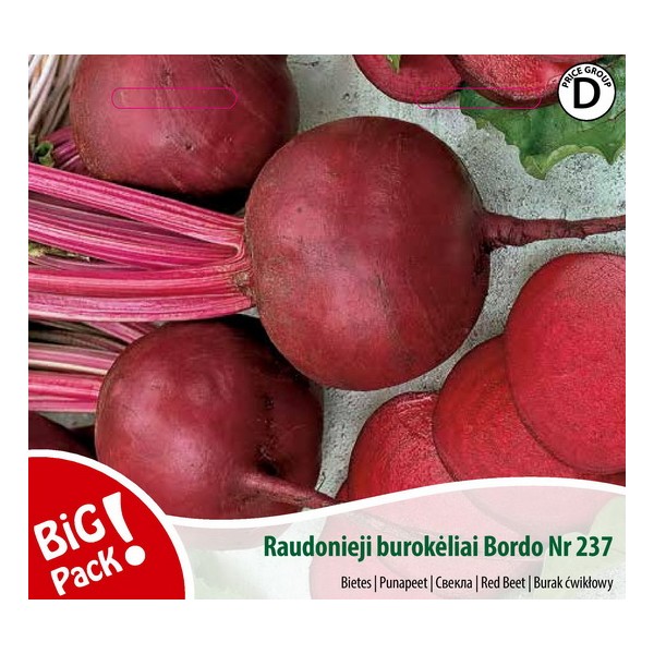 Bordeaux red beet 237 