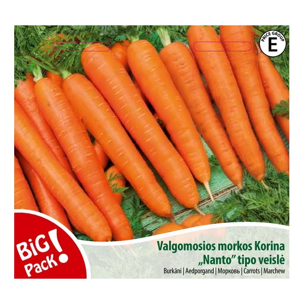 CARROTS KORINA