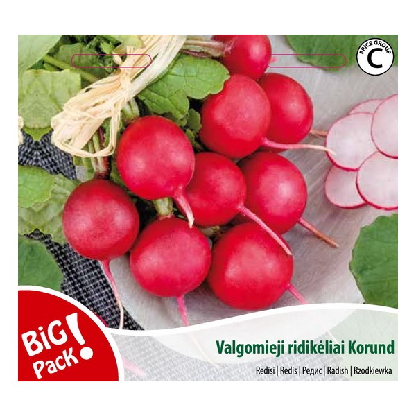 RADISH KORUND