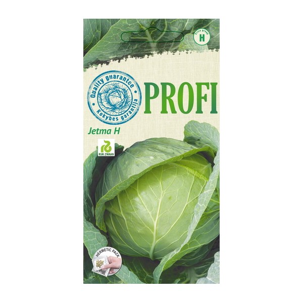 WHITE HEADED CABBAGES JETMA H 40s