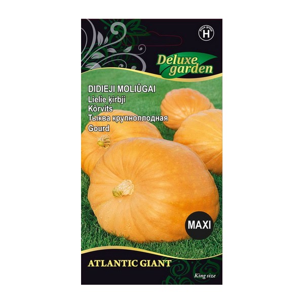 GOURD ATLANTIC GIANT