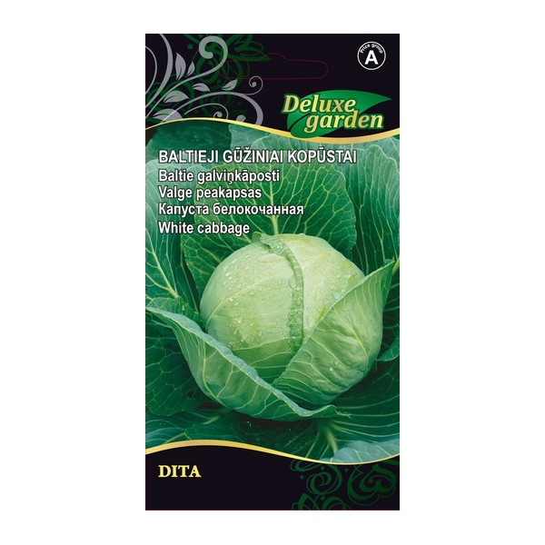 WHITE CABBAGE DITA