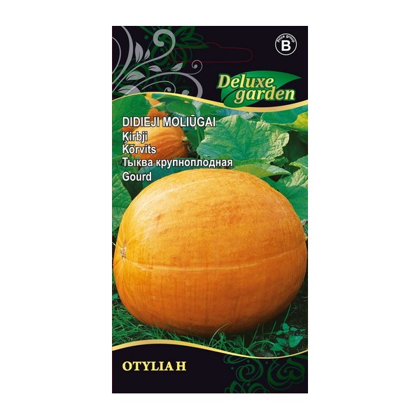 GOURD OTYLIA H