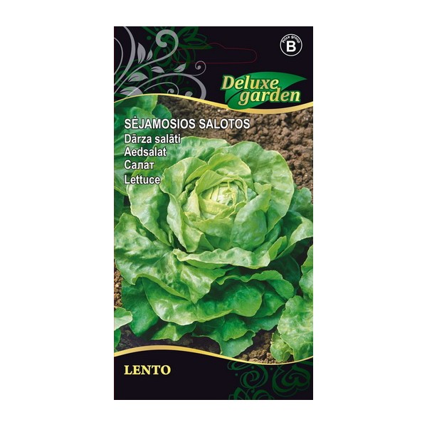 LETTUCE LENTO