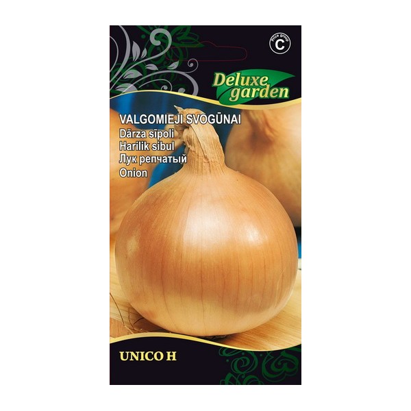 ONION UNICO H