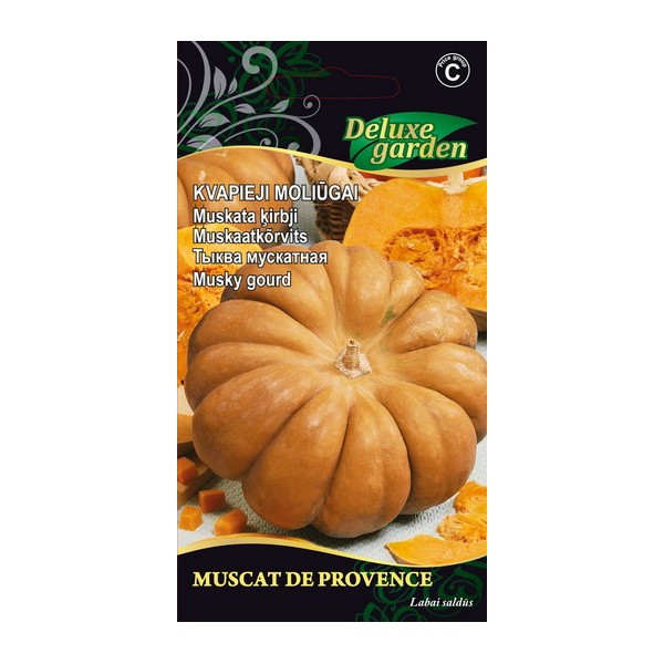 PUMPKINS MUSCAT DE PROVENCE