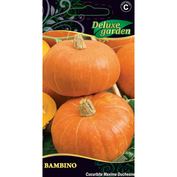 PUMPKIN BAMBINO