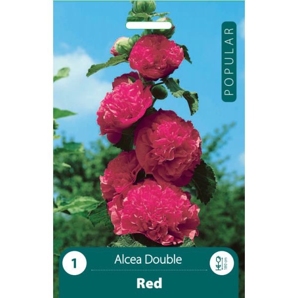 Alcea Double RED