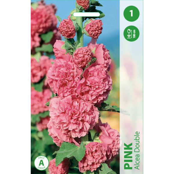 Alcea Double PINK