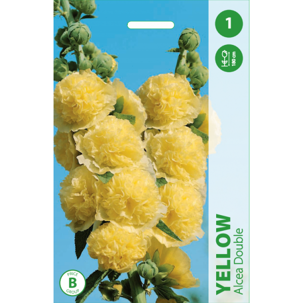 Alcea Double Yellow