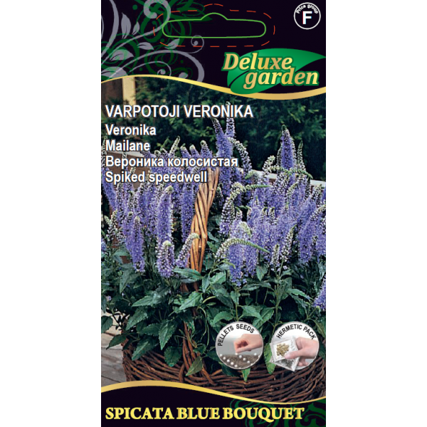 VARPOTOJI VERONIKA SPICATA BLUE BOUQUET