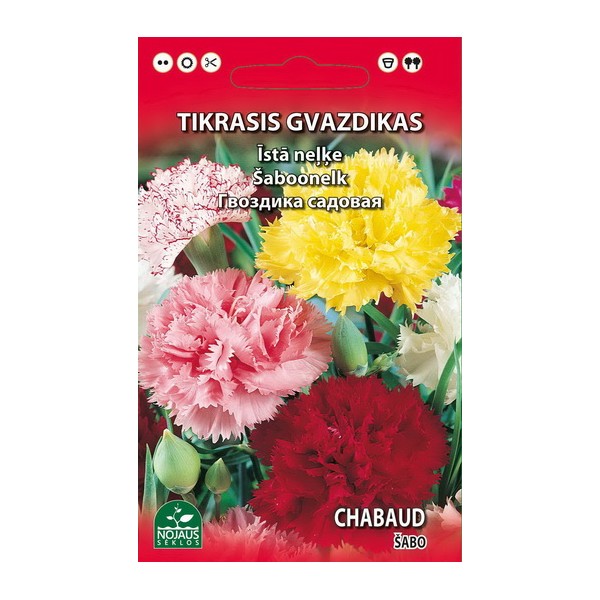 GVAZDIKAS TIKRASIS ŠABO