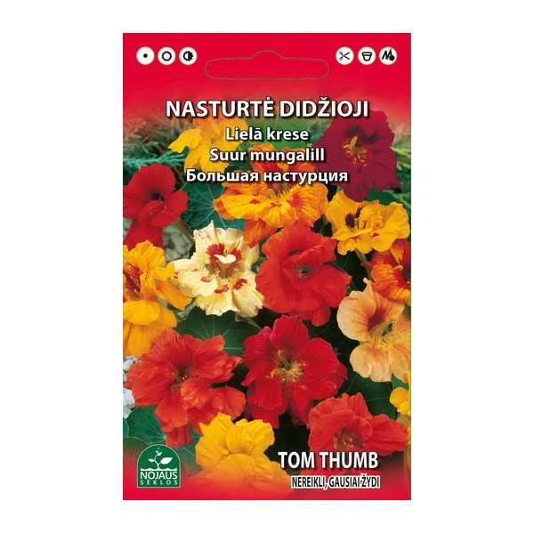 NASTURTĖ DIDŽIOJI