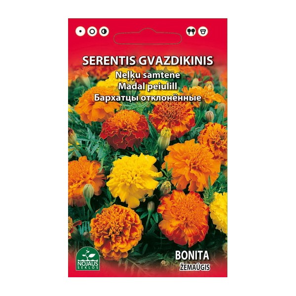 SERENTIS GVAZDIKINIS