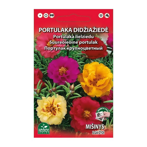 PORTULAKA DIDŽIAŽIEDĖ MIŠINYS