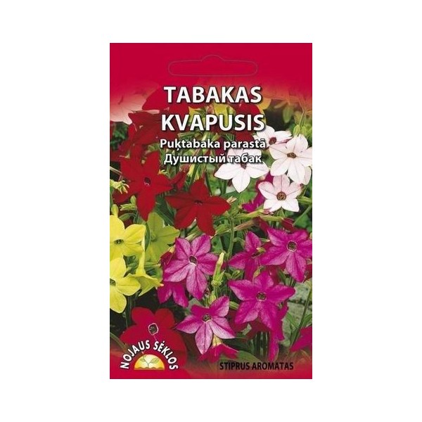 TABAKAS KVAPUSIS