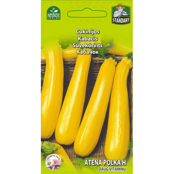 Zucchini ATENA POLKA H