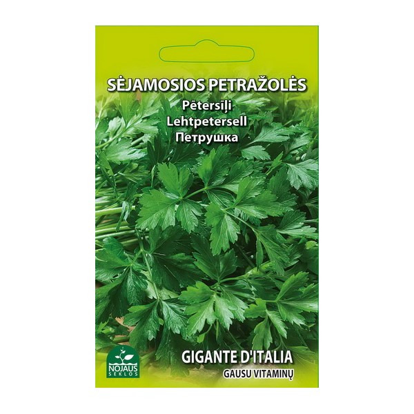 PARSLEY GIGANTE D'ITALIA