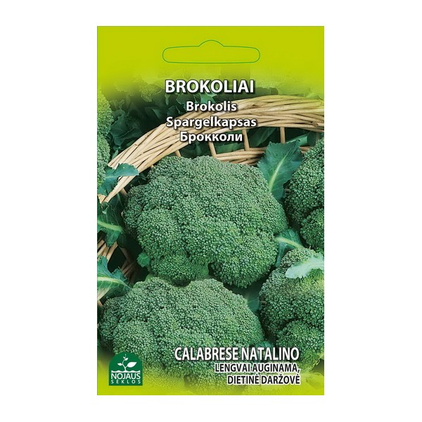 BROCCOLI CALABRESE NATALINO