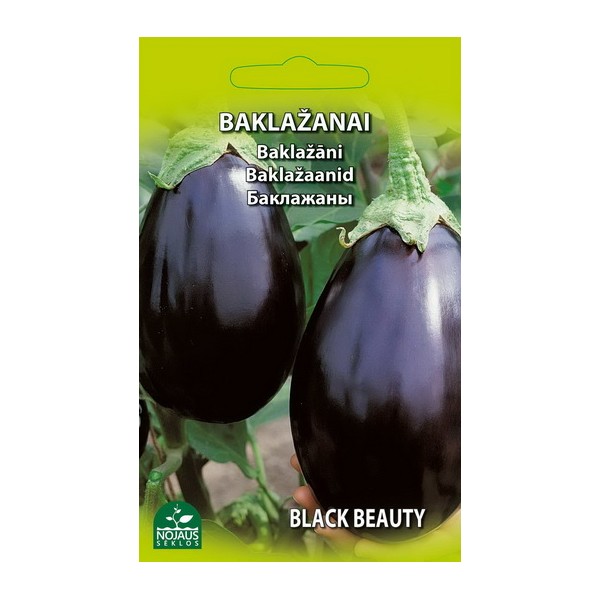 EGGPLANT BLACK BEUTY