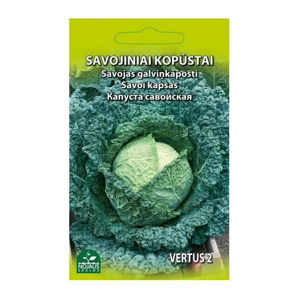 SAVOY CABBAGE VERTUS 2