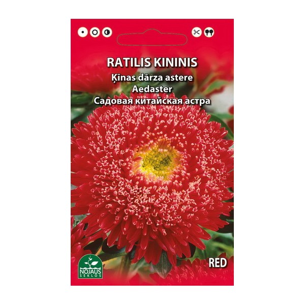 RATILIS KININIS (RAUDONAS)