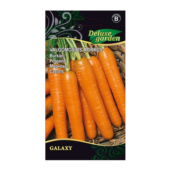 CARROTS GALAXY