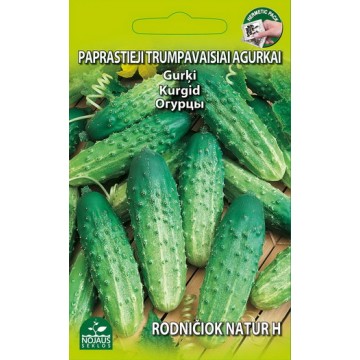 CUCUMBERS RODNIČIOK NATUR H