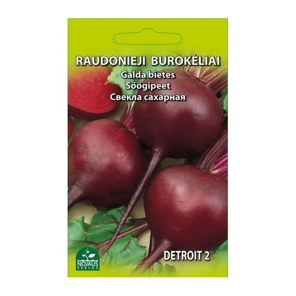 RED BEETROOT DETROIT 2  (3 g)