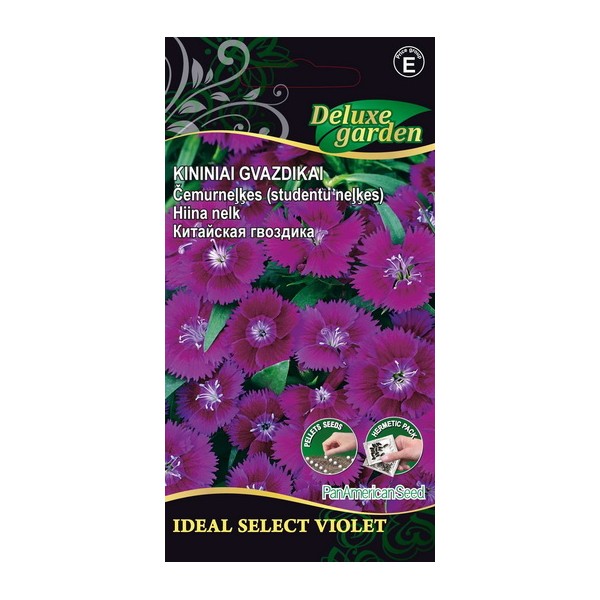 KININIAI GVAZDIKAI IDEAL SELECT VIOLET