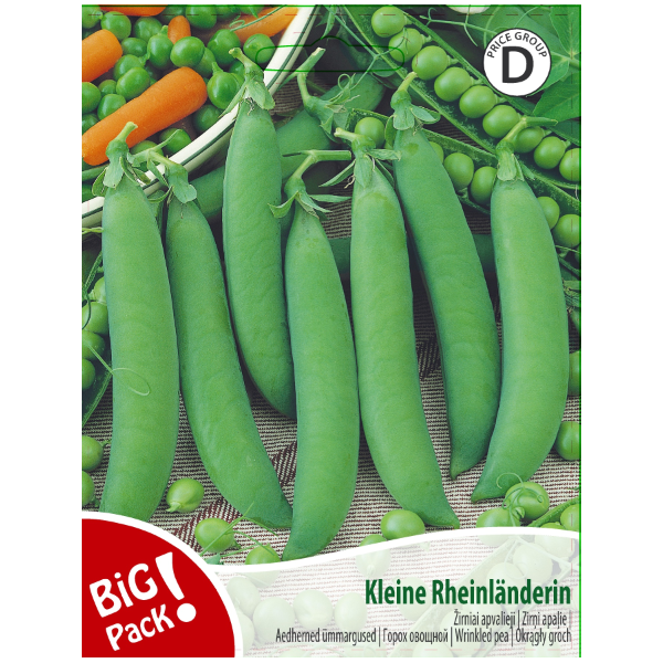 ROUND PEAS KLEINE RHEINLANDERIN