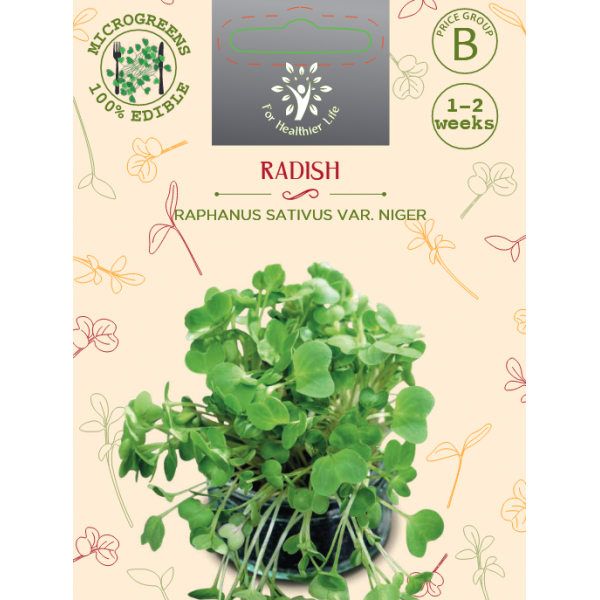 Microgreens Radish Rose d'hiver de Chine 5g