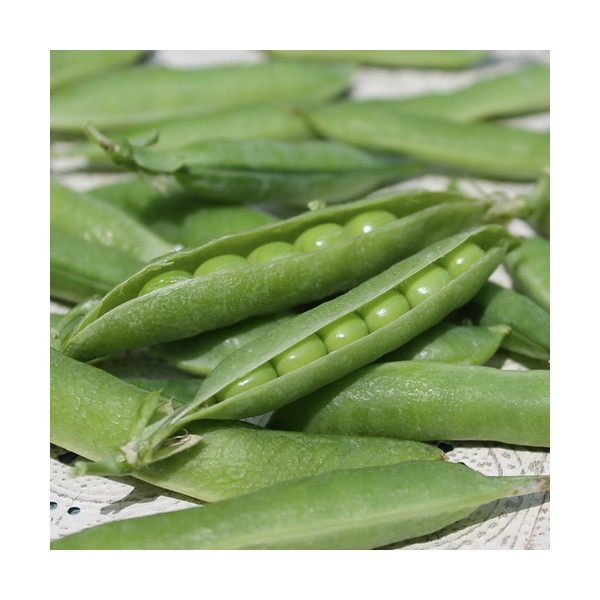 Wrinkled Peas Petit Provencal 1 kg