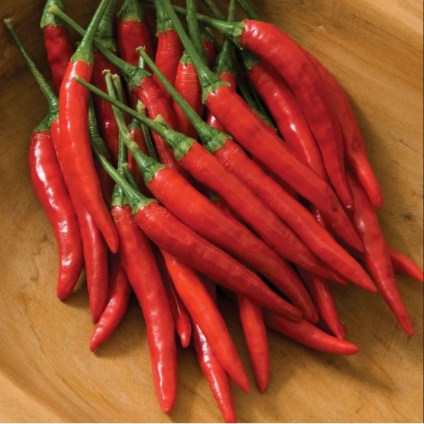 HOT PEPPER THAI BIRDS EYE 0,2g