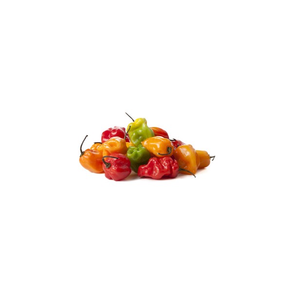 HOT PEPPER SCOTCH BONNET 0,2g