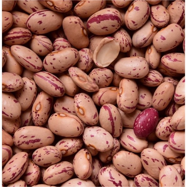 EKO DWARF BEANS BORLOTTO LINGUA DI FUOCO NANO