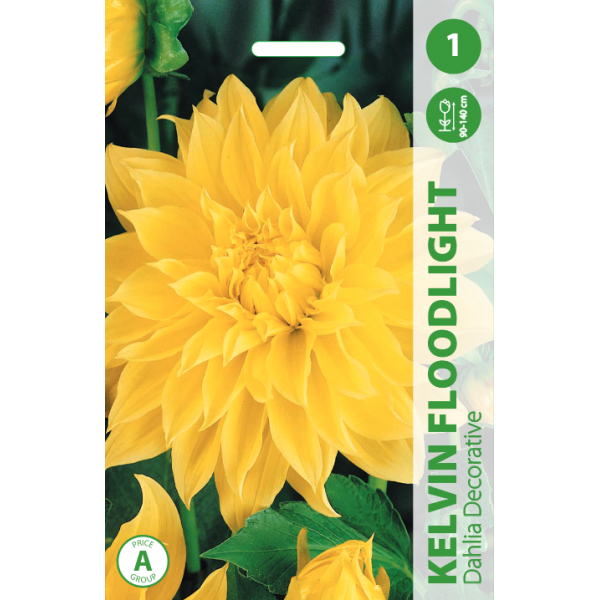 DAHLIA KELVIN FLOODLIGHT 1pc.