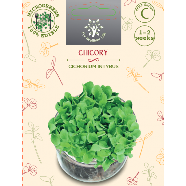 Microgreens Chicory Spadona 5g