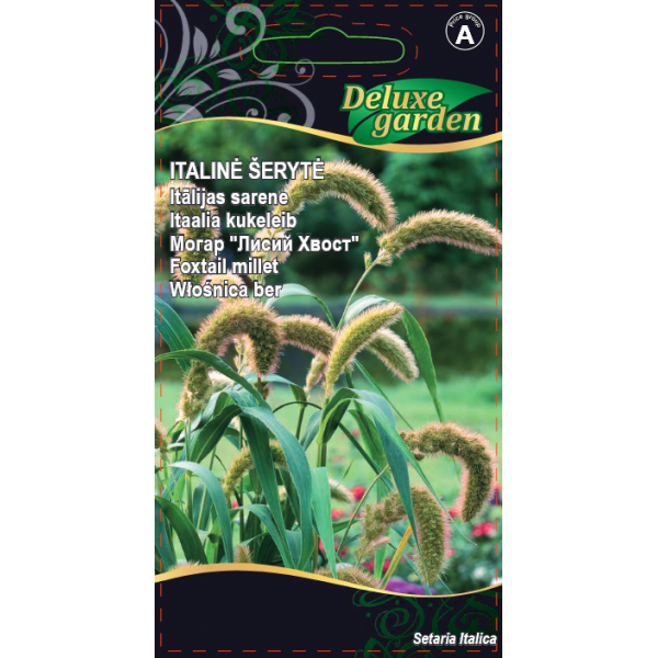 Foxtail millet 0,3g