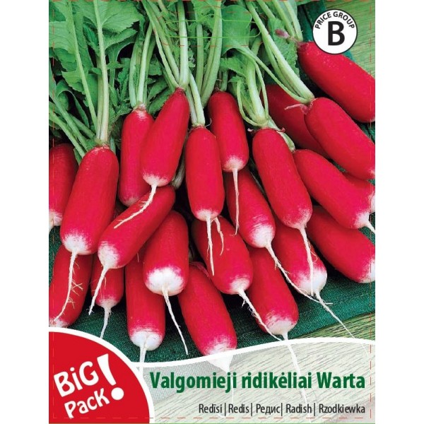 RADISH WARTA