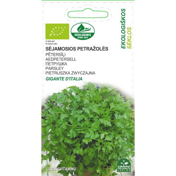 EKO PARSLEY GIGANTE D' ITALIA