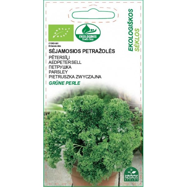 EKO PARSLEY GRUNE PERLE