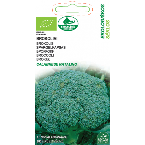 EKO BROCCOLI CALABRESE NATALINO