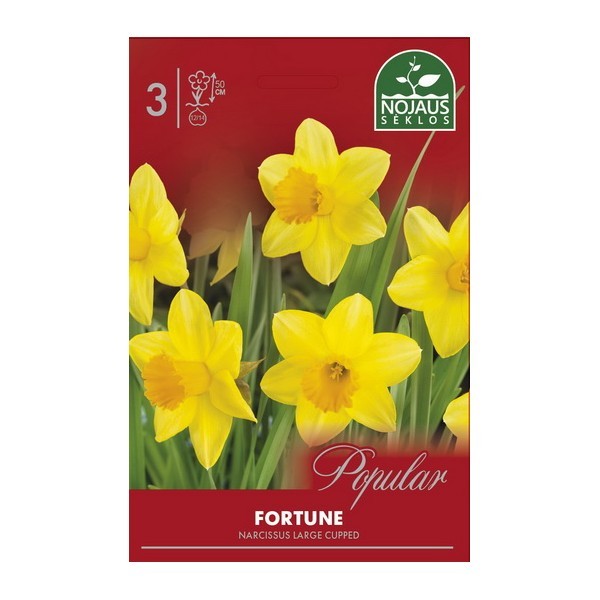 Narcissus Fortune (12/14) 3 pcs