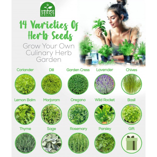 SET of 14pcs OF HERB SEEDS