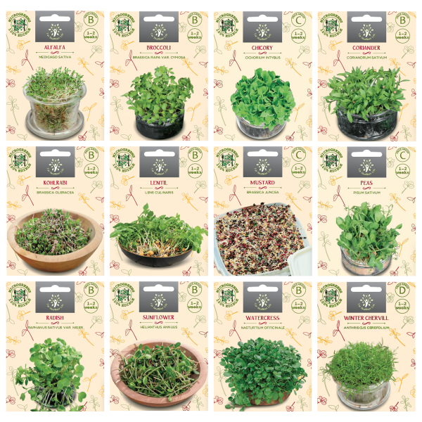 A COLLECTION OF 12 PCS OF MICROGREENS SEEDS