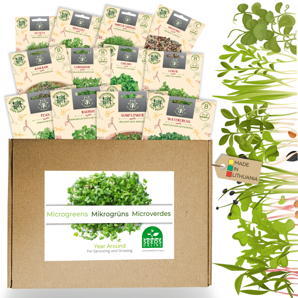 A COLLECTION OF 12 PCS OF MICROGREENS SEEDS